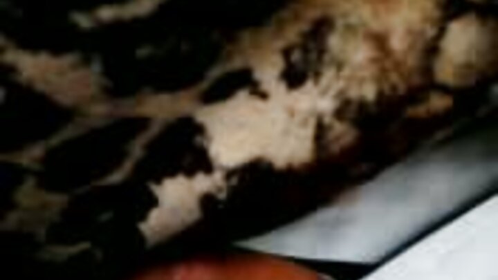 Mwanaume mdanganyifu anamnasa dada wa mpenzi wake kwa ukali kwenye uume